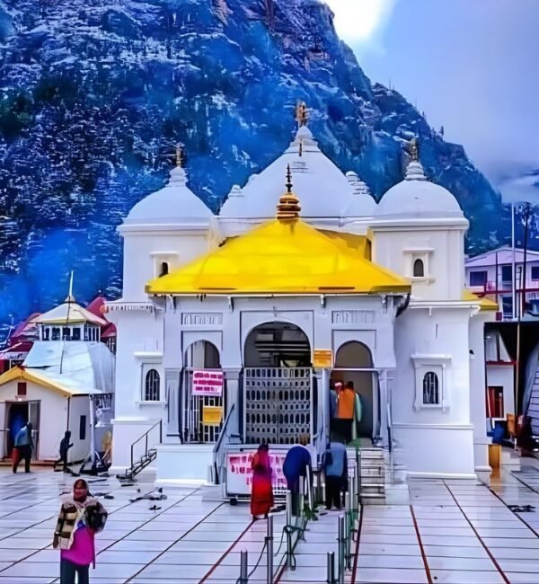 WhatsApp Image 2026-01-06 at 3.58.37 PM